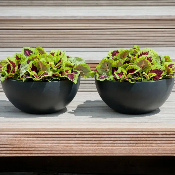 Pottery Pots Kvetináč Vic Bowl, farba čierna, viac veľkostí - PotteryPots Velikost: L - v. 28 cm, ⌀ 60 cm