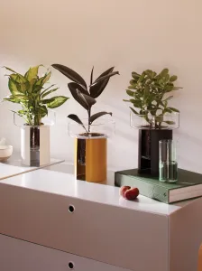 Terrazza kvetináč, v. 22 cm, Ø19 cm, číra/horčicovo žltá - LSA international
