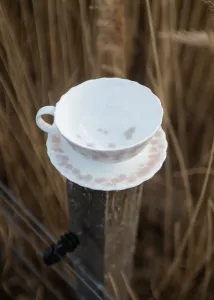 Ružový hrnček na čaj s tanierikom 30 cl kolekcia Slåpeblom - Wik & Walsøe