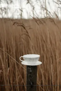 Sivý hrnček na čaj s tanierikom 30 cl kolekcia Slåpeblom - Wik & Walsøe