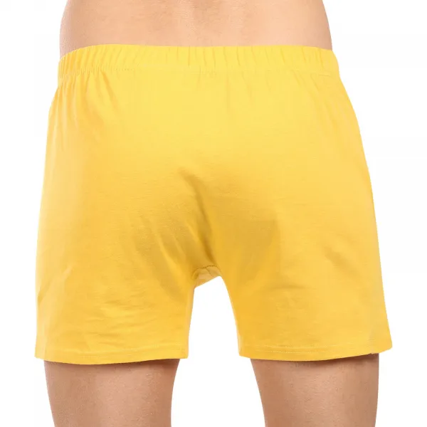 5PACK pánske trenky Lee Cooper viacfarebné (5xPO38819) M, trenírky