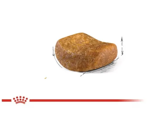 Royal Canin British Shorthair granuly pre Britské krátkosrsté mačky 2kg