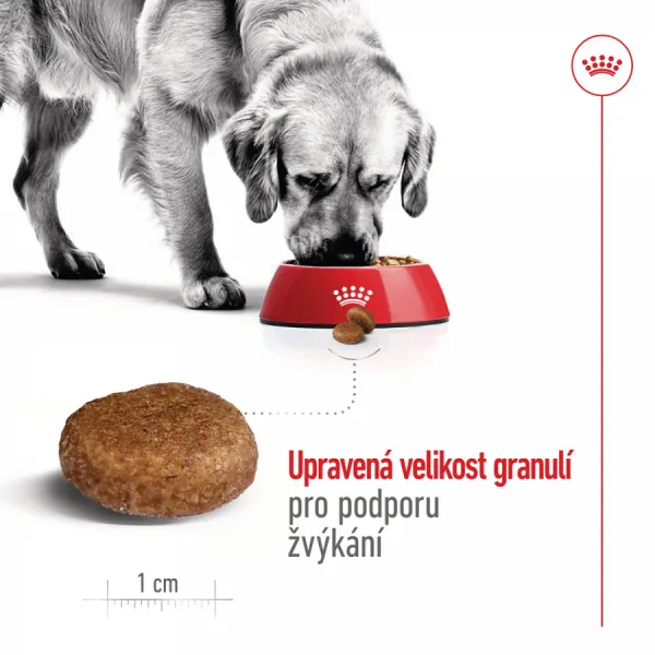 Royal Canin Maxi adult 5+, 15 kg