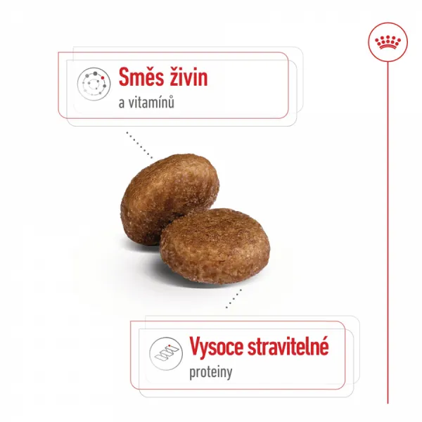 Royal Canin Maxi adult 5+, 15 kg