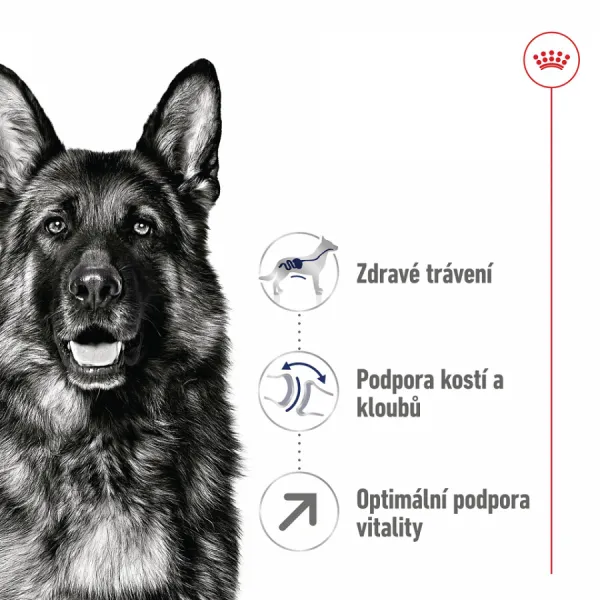 Royal Canin Maxi adult 5+, 15 kg