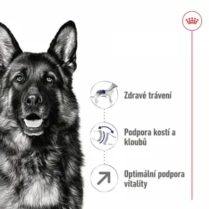 Royal Canin Maxi adult 5+, 15 kg