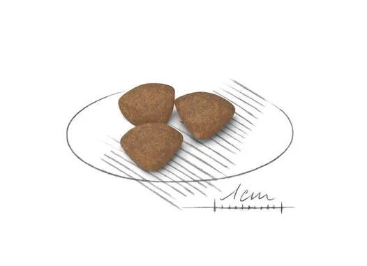 Royal Canin Mini Puppy 2 kg