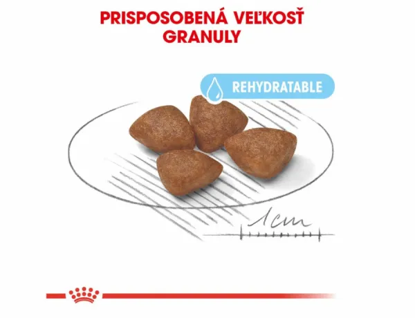 Royal Canin Mini Starter 1 kg