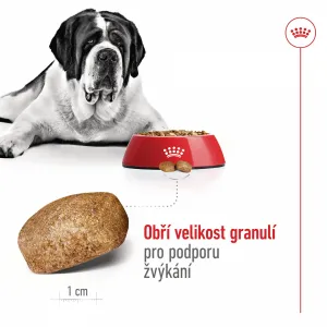 Royal Canin Giant Adult 15kg