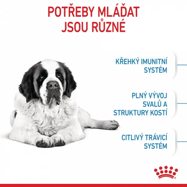 Royal Canin Giant Junior 15kg