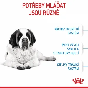 Royal Canin Giant Junior 15kg
