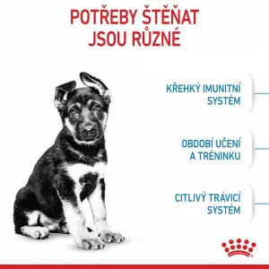Royal Canin Maxi Junior 15kg
