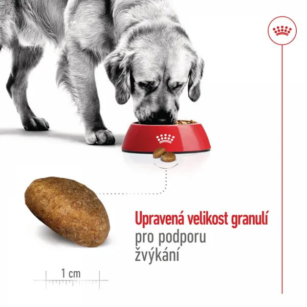 Royal Canin Maxi Adult 15kg