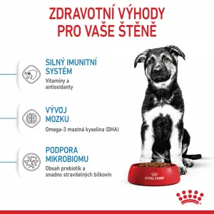 Royal Canin Maxi Junior 15kg