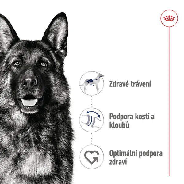 Royal Canin Maxi Adult 15kg
