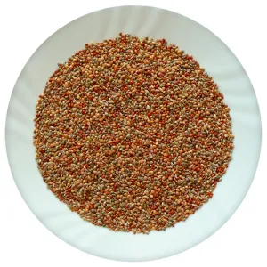 Male exoty standart 1kg