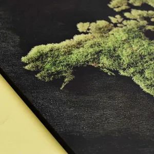 Drevený obraz - Machová mapa sveta