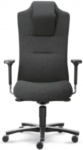 MAYER Kancelárské kreslo MyCronos 2498