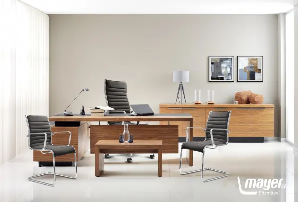MAYER Kancelárské kreslo STUDIO5 24S1 F5 AC