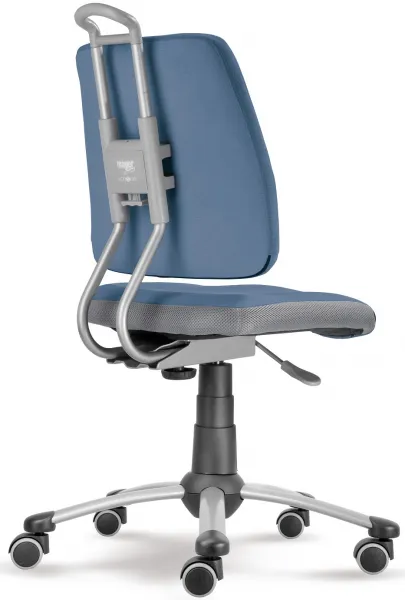MAYER Detská rastúca stolička ACTIKID SMILE 2428 A3 52
