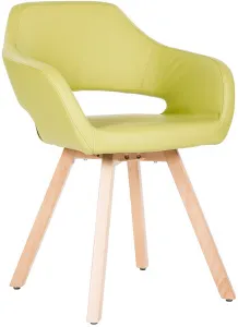 ANTARES kresielko Belen Wood