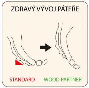 WOOD PARTNER Rastúca stolička SANDY natur/ biela