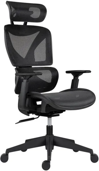 ANTARES Ergonomická kancelárska stolička ESTER