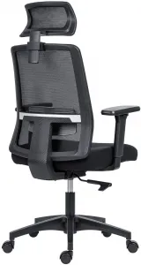 ANTARES Ergonomická kancelárska stolička DELFO, čierna