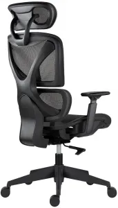 ANTARES Ergonomická kancelárska stolička ESTER