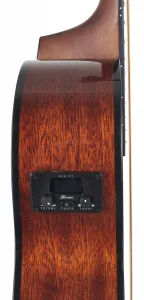 Ibanez AEG70-TCH