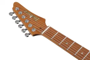 Ibanez Prestige AZS2209 Antique Turquoise
