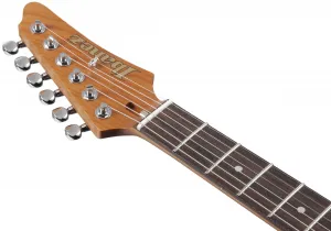 Ibanez TQMS1-CTB