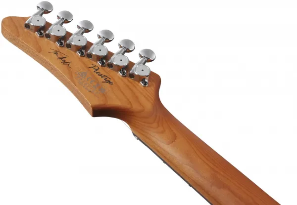 Ibanez TQMS1-CTB