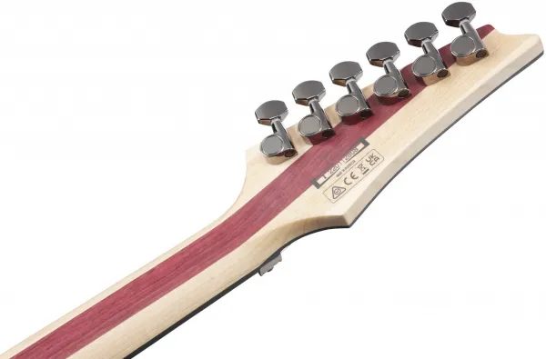 Ibanez JIVA10L-DSB