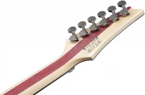Ibanez JIVA10L-DSB
