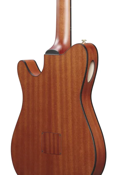 Ibanez FRH10N-RGF Rose Gold Metallic Flat Elektroakustická gitara