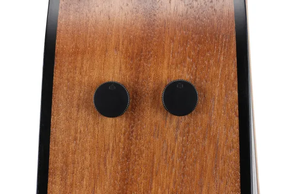 Ibanez AAD1012E-OPN