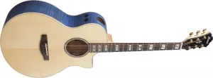 Ibanez AE390-NTA