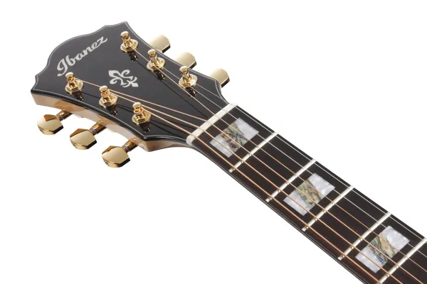 Ibanez AE390-NTA