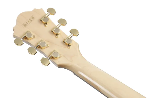 Ibanez AE390-NTA