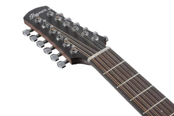 Ibanez AAD1012E-OPN