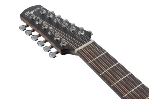 Ibanez AAD1012E-OPN