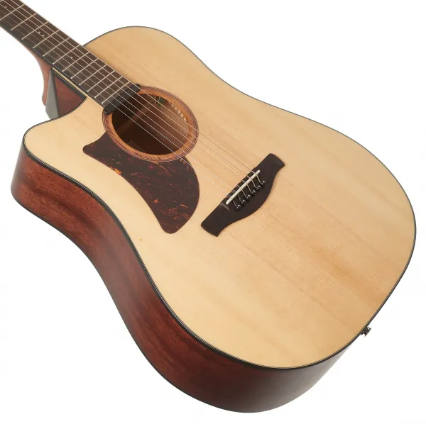 Ibanez AAD170LCE-LGS
