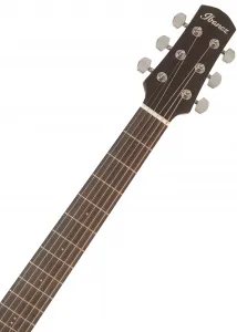 Ibanez AAD170LCE-LGS