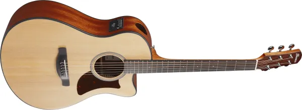 Ibanez AAM50CE-OPN