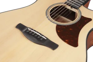 Ibanez AAM50CE-OPN