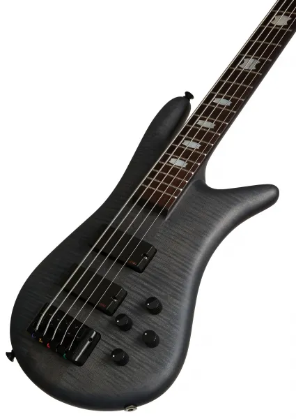 Spector Euro5 LX Black Stain Matte