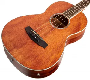 Ibanez PNB14E-OPN