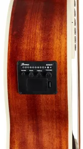 Ibanez PNB14E-OPN
