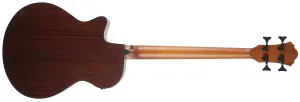 Ibanez AEGB30E-NTG